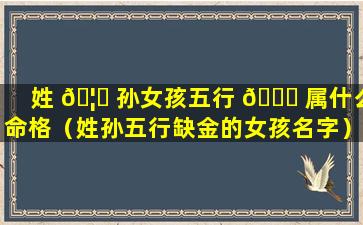 姓 🦍 孙女孩五行 🐞 属什么命格（姓孙五行缺金的女孩名字）